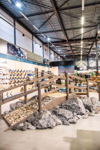 Begin je vakantiepret bij Vrijbuiter kampeerwinkel brug